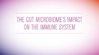 The Gut Microbiomes Impact on The Immune System [upl. by Decato972]