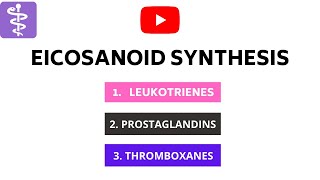 Eicosonoids Synthesis  Leukotrienes Prostaglandins and Thromboxanes [upl. by Thevenot]