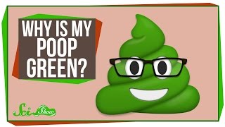 Why Is My Poop Green [upl. by Ayom]