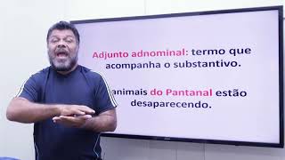 Adjunto Adnominal X Complemento Nominal Qual a diferença [upl. by Matheny]