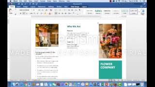 How to Create a TriFold Brochure Using Microsoft Word Templates [upl. by Hillell]