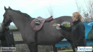 The Mares Oestrus Cycle Part 3  HorseandRider UK [upl. by Ttej]