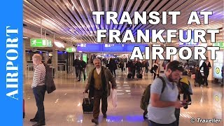 TRANSIT WALK AT FRANKFURT Airport FRA Terminal 1  Connection Flight Transfer Arriving amp Departing [upl. by Desiri]