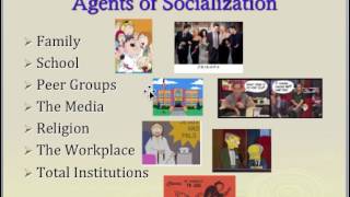 Socialization Lecture [upl. by Ryter]