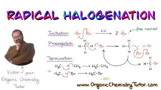 Radical Halogenation of Alkanes [upl. by Ainuj696]