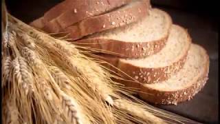 Growing Heritage Wheat at home Part 1 [upl. by Geis]